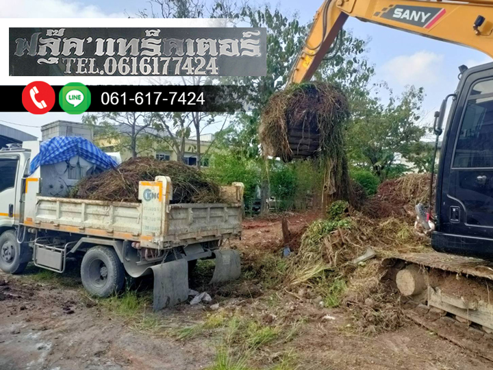 รับเคลียพื้นที่รกร้างตัดต้นไม้-กรุงเทพ